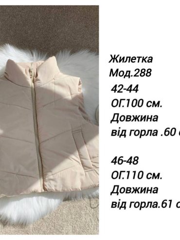 photo-2025-08-15-22-54-46