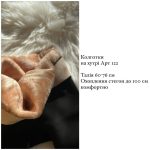 купити photo 2025 10 21 12 16 19